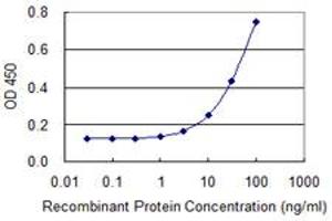 Detection limit for recombinant GST tagged CSTF1 is 1 ng/ml as a capture antibody. (CSTF1 Antikörper  (AA 332-431))