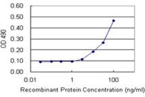Sandwich ELISA detection sensitivity ranging from 3 ng/mL to 100 ng/mL. (IFI16 (Human) Matched Antibody Pair)