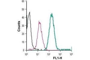 Cell surface detection of BAI1 in live intact human THP-1 monocytic leukemia cells: (black line) Cells. (ADGRB1 Antikörper  (Extracellular) (FITC))
