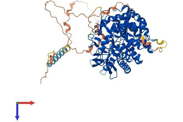 MAN1C1 Protein (AA 1-630) (His tag)