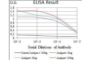 Black line: Control Antigen (100 ng), Purple line: Antigen(10 ng), Blue line: Antigen (50 ng), Red line: Antigen (100 ng), (Fc epsilon RI/FCER1A Antikörper  (AA 42-103))