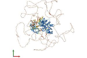 AlphaFold protein structure predicition of Mouse Recombinant Pask Protein, UniprotID Q8CEE6 (PASK Protein (AA 1-1383) (His tag))