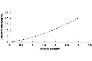 Typical Standard Curve