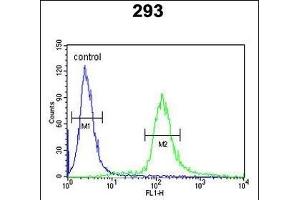 EPS8L3 Antibody (N-term) (ABIN390898 and ABIN2841105) flow cytometric analysis of 293 cells (right histogram) compared to a negative control cell (left histogram). (EPS8-Like 3 Antikörper  (N-Term))