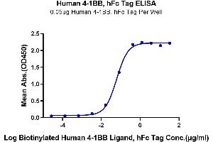 ELISA image for Tumor Necrosis Factor Receptor Superfamily, Member 9 (TNFRSF9) (AA 24-186) protein (Fc-Avi Tag) (ABIN7273924)