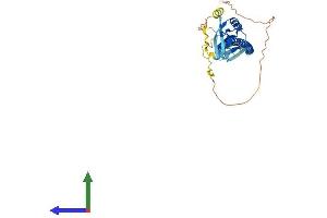 Protein Structure (PS) image for CD72 Molecule (CD72) (AA 1-359) protein (His tag) (ABIN7553109)