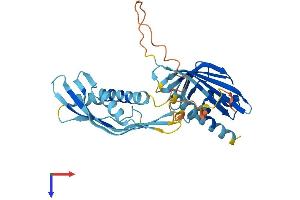 AHSA2 Protein (AA 1-331) (His tag)