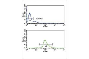 Flow Cytometry (FACS) image for anti-Dopachrome Tautomerase (DCT) antibody (ABIN3003902) (DCT Antikörper)