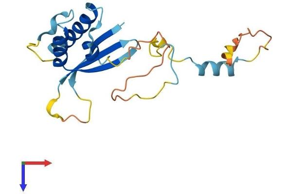 SNX22 Protein (AA 1-193) (His tag)