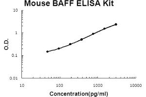 Mouse BAFF Accusignal ELISA Kit Mouse BAFF AccuSignal ELISA Kit standard curve.
