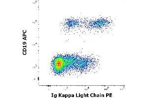 Flow cytometry multicolor surface staining of human lymphocytes stained using anti-human Ig Kappa Light Chain (TB28-2) PE antibody (10 μL reagent / 100 μL of peripheral whole blood) and anti-human CD19 (LT19) APC antibody (10 μL reagent / 100 μL of peripheral whole blood). (kappa Light Chain Antikörper  (PE))