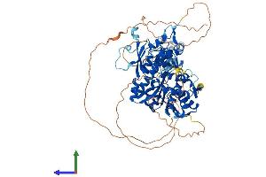 AlphaFold protein structure predicition of Human Recombinant TRMT1L Protein, UniprotID Q7Z2T5