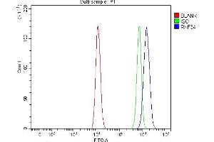 Flow Cytometry analysis of HEL cells using anti-RNF34 antibody (ABIN7602457). (RNF34 Antikörper  (AA 46-372))