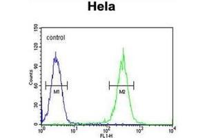 Flow Cytometry (FACS) image for anti-Excision Repair Cross-Complementing Rodent Repair Deficiency, Complementation Group 6-Like 2 (ERCC6L2) (AA 12-43), (N-Term) antibody (ABIN954433)