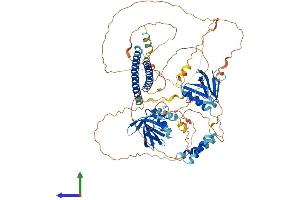 Protein Structure (PS) image for Actin Filament Associated Protein 1-Like 1 (AFAP1L1) (AA 1-768) protein (His tag) (ABIN7551929)