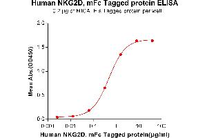 ELISA image for Killer Cell Lectin-Like Receptor Subfamily K, Member 1 (KLRK1) protein (mFc Tag) (ABIN6961134)