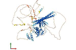Protein Structure (PS) image for Actin Filament Associated Protein 1-Like 1 (AFAP1L1) (AA 1-768) protein (His tag) (ABIN7551929)