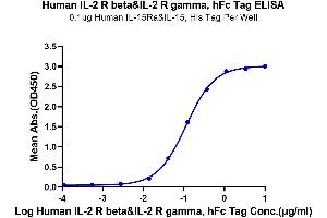 Immobilized Human IL-15RA&IL-15, His Tag at 1 μg/mL (100 μL/well) on the plate. (IL-2 R beta & IL-2 R gamma (AA 27-240) protein (Fc Tag))