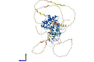 Protein Structure (PS) image for Nuclear Receptor Subfamily 1, Group D, Member 1 (NR1D1) (AA 1-614) protein (His tag) (ABIN7554804)
