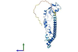AlphaFold protein structure predicition of Human Recombinant RNF151 Protein, UniprotID Q2KHN1