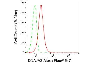 Flow cytometric analysis of DNAJA2 expression in C2C12 cells using DNAJA2 antibody (ABIN7798372), 1:1,000). (DNAJA2 Antikörper)