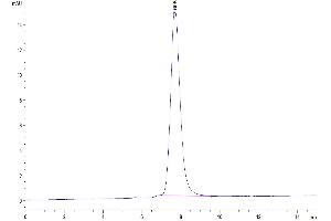 Size-exclusion chromatography-High Pressure Liquid Chromatography (SEC-HPLC) image for Interleukin 3 (IL-3) (AA 27-166) protein (Fc Tag) (ABIN7274947)