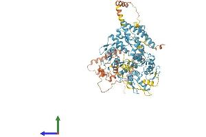 AlphaFold protein structure predicition of Human Recombinant ZNF560 Protein, UniprotID Q96MR9