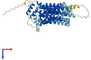 SLC2A8 Protein (AA 1-477) (His tag)