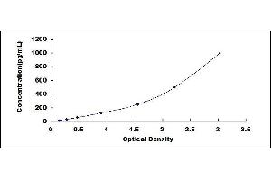 Typical standard curve (RSPO1 ELISA Kit)