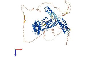 GGA3 Protein (AA 1-723) (His tag)