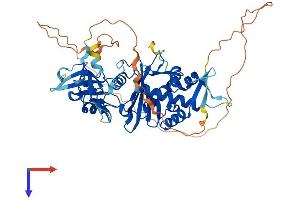 KAT5 Protein (AA 1-513) (His tag)