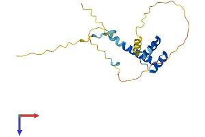 HESX Homeobox 1 Protein (HESX1) (AA 1-185) (His tag)