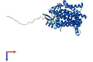 DHCR7 Protein (AA 1-475) (His tag)