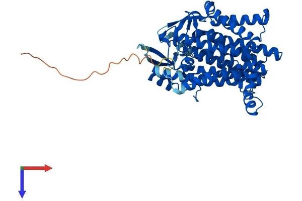 DHCR7 Protein (AA 1-475) (His tag)