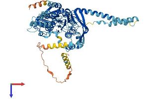 ABCF2 Protein (AA 1-628) (His tag)