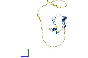 Protein Structure (PS) image for Cyclin-Dependent Kinase Inhibitor 1B (p27, Kip1) (CDKN1B) (AA 1-197) protein (His tag) (ABIN7563274)