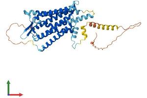 Protein Structure (PS) image for Tachykinin Receptor 1 (TACR1) (AA 1-407) protein (His tag) (ABIN7549859)