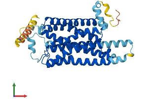 Protein Structure (PS) image for Trace Amine Associated Receptor 2 (TAAR2) (AA 1-351) protein (His tag) (ABIN7544261)