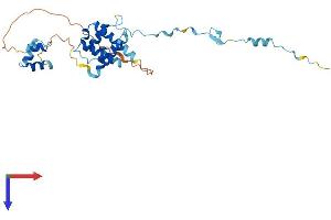 CUEDC2 Protein (AA 1-284) (His tag)