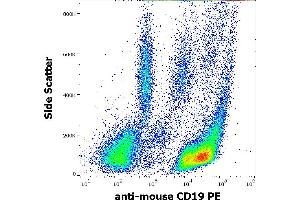Flow cytometry surface staining pattern of murine peritoneal fluid cells stained using anti-mouse CD19 (1D3) PE antibody (concentration in sample 1 μg/mL). (CD19 Antikörper  (PE))
