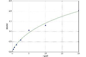 Phosphoglycerate Kinase 1 (PGK1) ELISA Kit