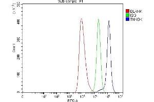 Flow Cytometry analysis of HEL cells using anti-TNNI3K antibody (ABIN7599644). (TNNI3K Antikörper  (AA 102-783))