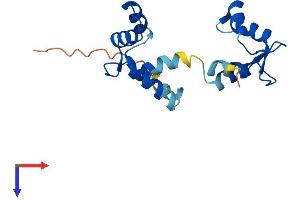 MYL12A Protein (AA 1-171) (His tag)