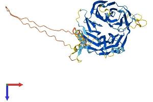 DCAF12L2 Protein (AA 1-469) (His tag)