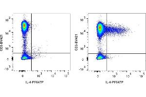 Detection of IL-4 by flow cytometry in viable human lymphocytes. (IL-4 Antikörper  (PromoFluor 647 Premium))