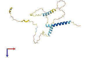 BNIP3L/NIX Protein (AA 1-218) (His tag)