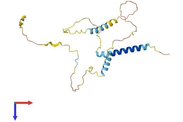 BNIP3L/NIX Protein (AA 1-218) (His tag)