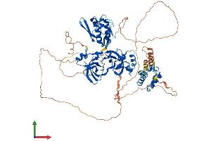 AlphaFold protein structure predicition of Mouse Recombinant Scmh1 Protein, UniprotID Q8K214