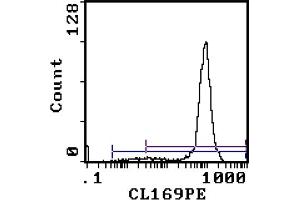 Flow Cytometry Analysis - Cell Source: Thymus Percentage of cells stained above control: 93. (CD8 Antikörper  (PE))