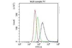 Flow Cytometry analysis of U937 cells using anti-CD33 antibody . (CD33 Antikörper  (AA 18-259))